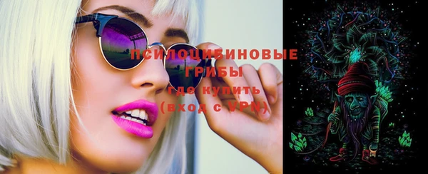 тгк Алзамай