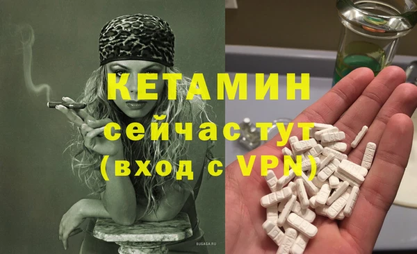 крисы Абдулино