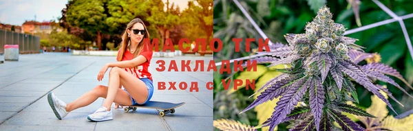 тгк Алзамай