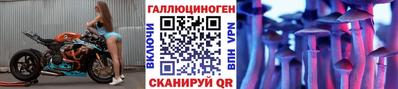 Галлюциногенные грибы Psilocybe  маркетплейс наркотические препараты  Казань  omg ТОР 